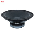 15 Inch Professional Ferrite Subwoofer Speaker Woofer, 500Watt Pa Speakers WL15193